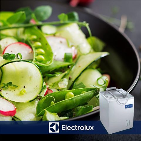Electrolux Professional Sebze Yıkama